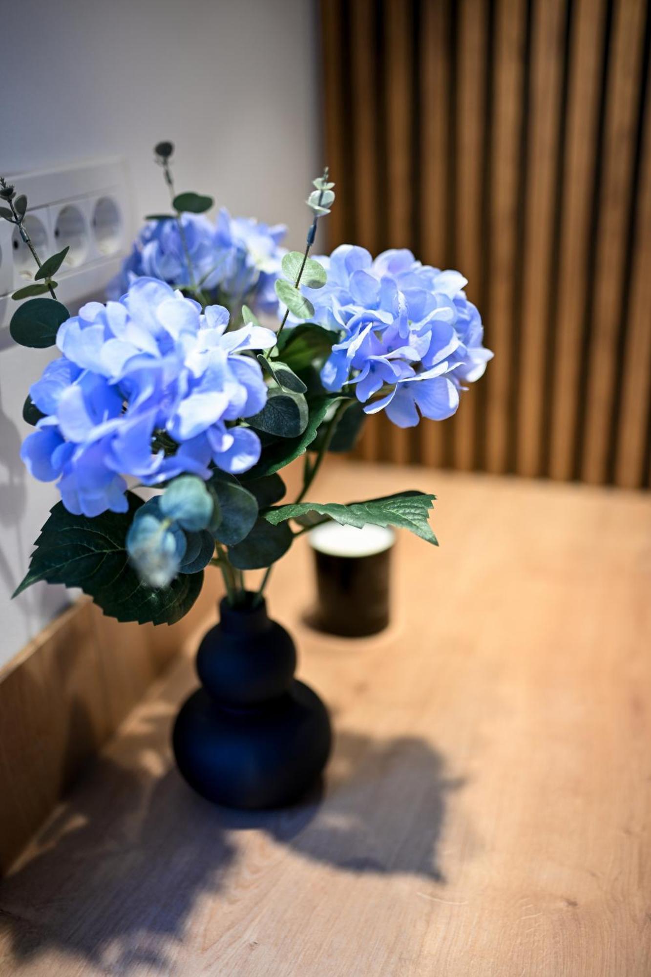 Apartments And Rooms Nekic ซาดาร์ ภายนอก รูปภาพ
